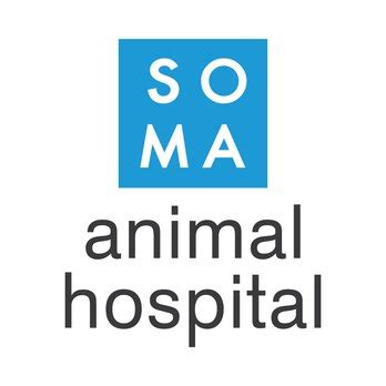 soma pet hospital|SoMa Animal Hospital (@somaanimalhospital) .